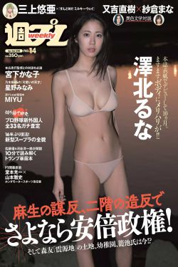 海贼王全彩娜美本子acg